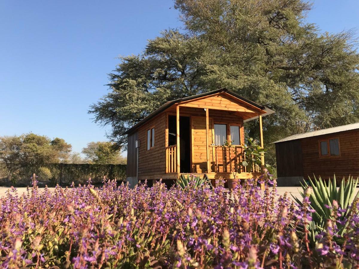 Kololo Guesthouse Katima Mulilo Zewnętrze zdjęcie